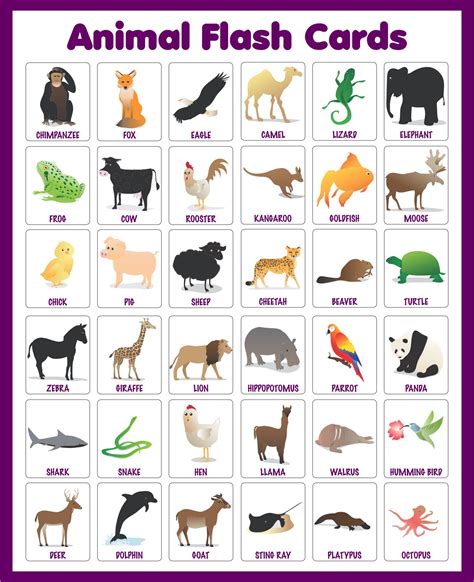 Printable Animal Flash Cards